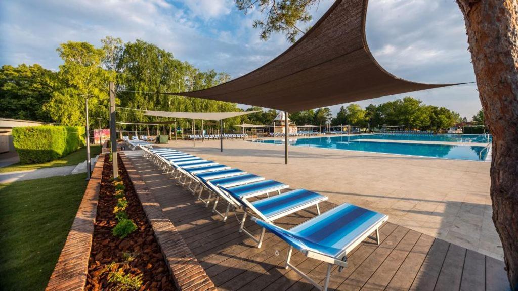 Kinga Apartman Dunajská Streda Dış mekan fotoğraf